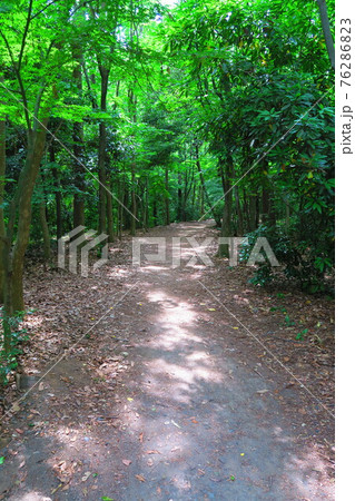 そうか公園（埼玉県草加市）の6月の風景（2016年） 76286823