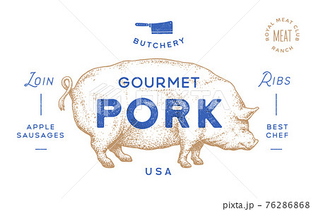 Pork, pig. Template Label. Vintage retro print 76286868