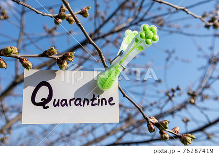 Quarantine word on white card hanging pin spring Quarantine word on white card hanging pin spring 76287419