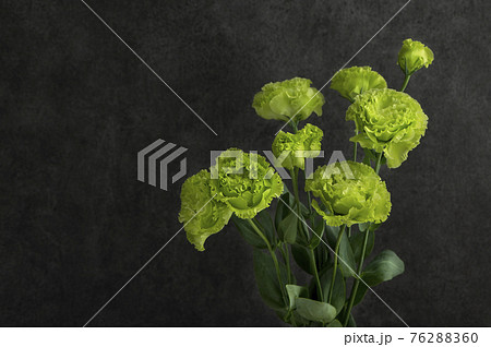 トルコキキョウ リシアンサス トルコキキョウ リシアンサス 76288360