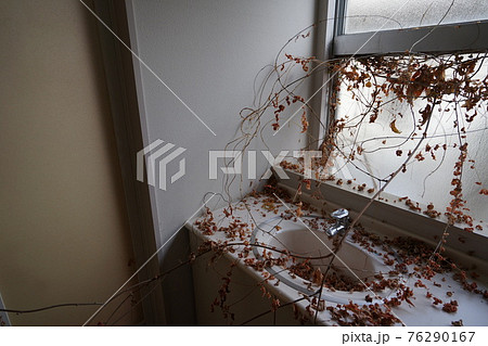 廃墟 石川県小松市 徳家醫院 廃病院 76290167