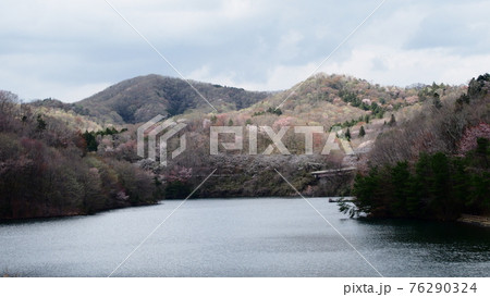 春の飯田ダム笠間湖 76290324