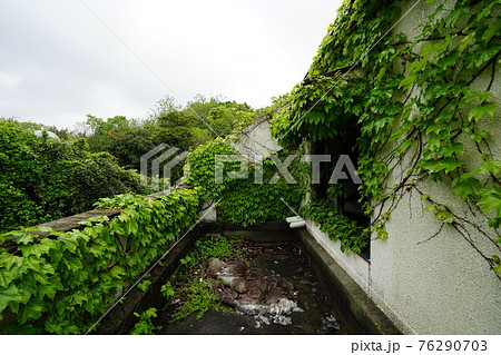 廃墟　香川県　来光山聖福院　廃宗教施設　宗教施設　廃教会 76290703