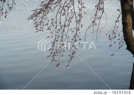木 湖 春 76291958