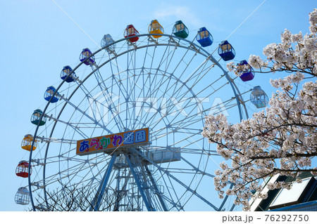 あらかわ遊園の新観覧車と満開の桜 あらかわ遊園の新観覧車と満開の桜 76292750