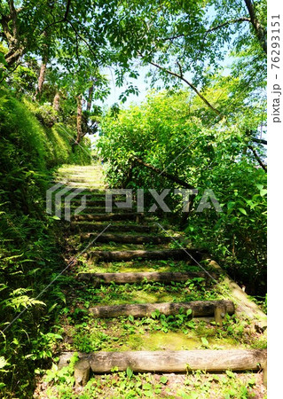 八塩あじさいの里 アジサイ 散策路 八福神 八塩あじさいの里 アジサイ 散策路 八福神 76293151