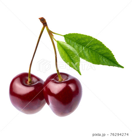 sweet cherry fruits isolated on white background 76294274