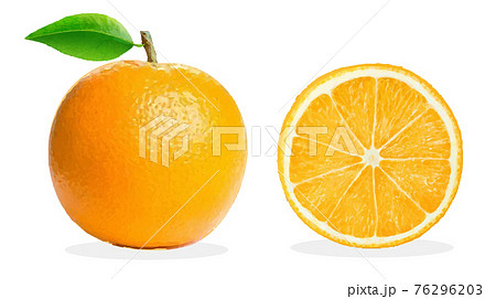 オレンジ 1個と輪切り別々 ベクターあり のイラスト素材