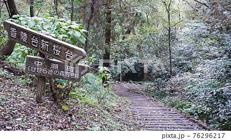 沼津市にある香貫山の風景(ハイキングルートに設置された香陵台新桜台と中瀬町への案内看板)<01> 沼津市にある香貫山の風景(ハイキングルートに設置された香陵台新桜台と中瀬町への案内看板)<01> 76296217