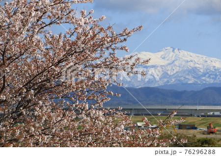 白山の春 76296288