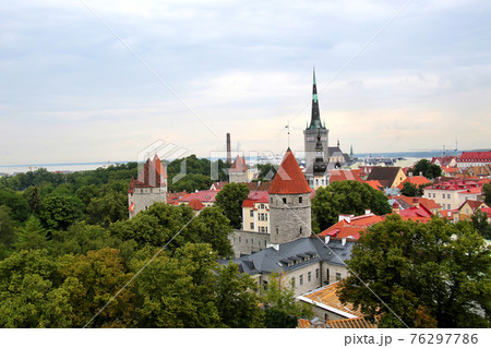 エストニアの首都タリン 旧市街、トームペア城から聖オレフ教会の尖塔および周辺の尖塔群と緑の森の風景 エストニアの首都タリン 旧市街、トームペア城から聖オレフ教会の尖塔および周辺の尖塔群と緑の森の風景 76297786