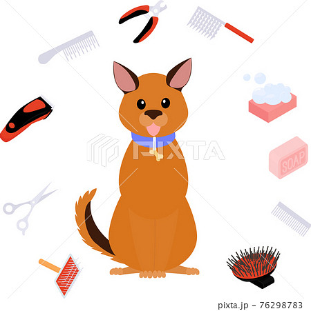 Grooming dog illustration, pet hair care salon Grooming dog illustration, pet hair care salon 76298783