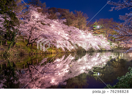 高田城跡公園の夜桜 高田城跡公園の夜桜 76298828