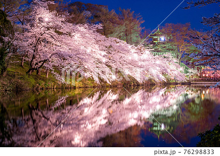 高田城跡公園の夜桜 76298833