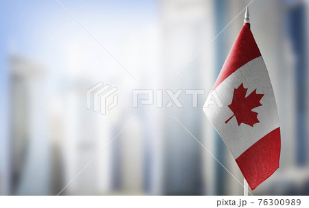 A small flag of Canada on the background of a blurred background A small flag of Canada on the background of a blurred background 76300989