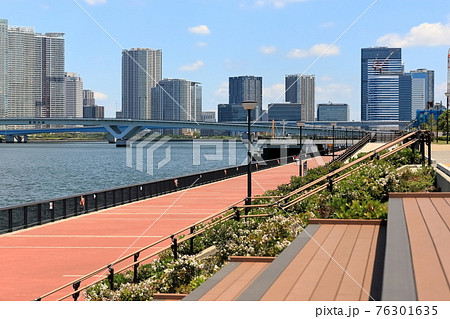 豊洲ぐるり公園の風景 76301635