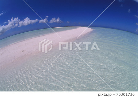 白い砂浜と海 白い砂浜と海 76301736