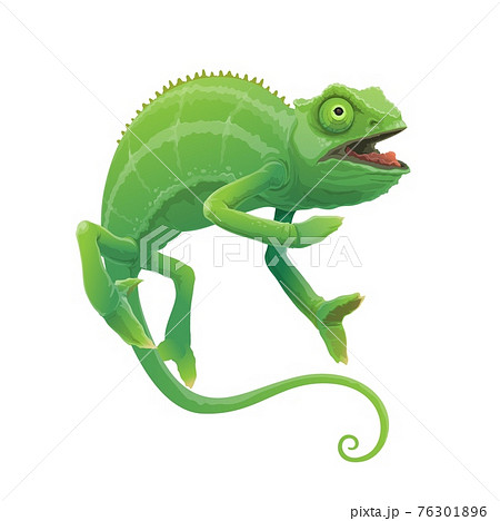 Chameleon Cartoon Vector Green Lizard Animalのイラスト素材
