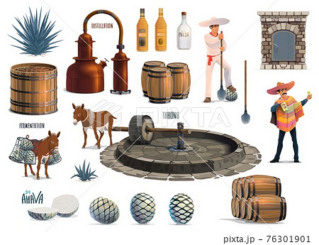 Mexican tequila alcohol drink production process 76301901