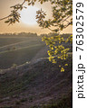 Sun in rural landscape field through the foliage on yellow background. Natural scenery. Countryside sunny morning environment. Vertical summer nature view. Local travel in country 76302579