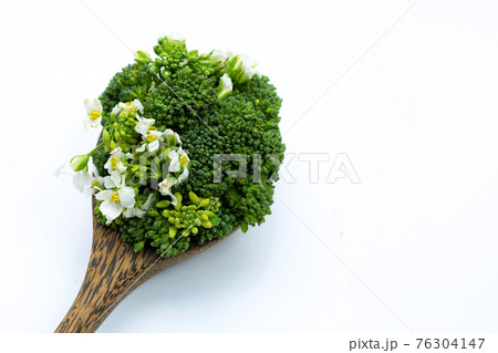 Green baby broccoli cabbage on white background. Green baby broccoli cabbage on white background. 76304147
