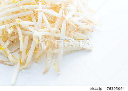 もやし もやし 76305064