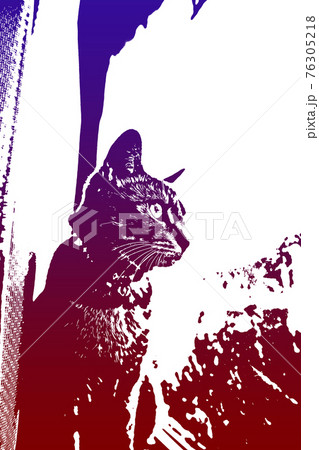 猫 ネコ ねこ キジトラ 白 グレー 子猫 雌 メス 雌ねこ 雌ネコ 雌猫 元気 かわいい 癒し 76305218