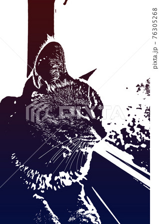 猫 ネコ ねこ キジトラ 白 グレー 子猫 雌 メス 雌ねこ 雌ネコ 雌猫 元気 かわいい 癒し 76305268