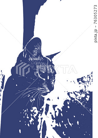 猫 ネコ ねこ キジトラ 白 グレー 子猫 雌 メス 雌ねこ 雌ネコ 雌猫 元気 かわいい 癒し 76305273