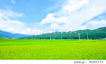 夏の爽やかな田園風景(安曇野) 夏の爽やかな田園風景(安曇野) 76305774