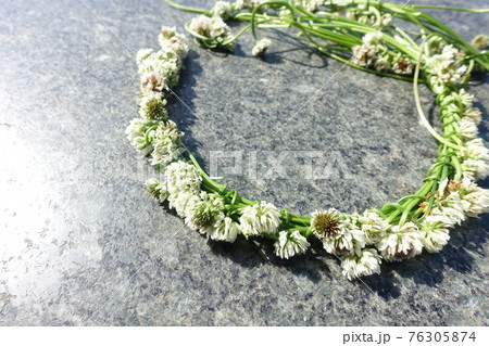 シロツメクサの花輪 花冠 リース シロツメクサの花輪 花冠 リース 76305874