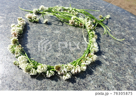 シロツメクサの花輪 花冠 リースの写真素材