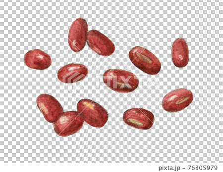 Azuki hand-painted watercolor pencil drawing Azuki hand-painted watercolor pencil drawing 76305979