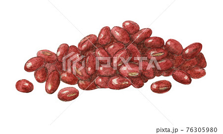 小豆 手描き 水彩色えんぴつ画 小豆 手描き 水彩色えんぴつ画 76305980