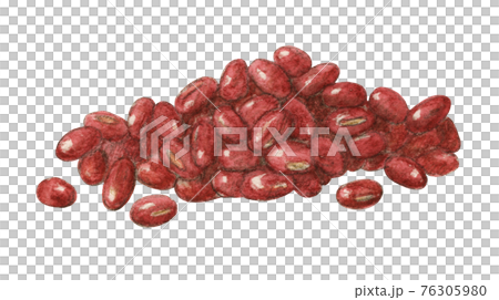 小豆 手描き 水彩色えんぴつ画 小豆 手描き 水彩色えんぴつ画 76305980