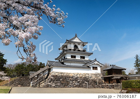 白石城　桜と天守閣 76306187