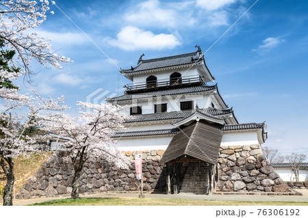白石城　桜と天守閣 76306192