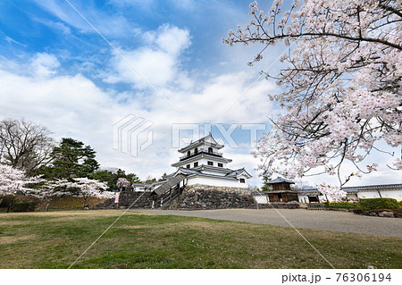 白石城　桜と天守閣 76306194