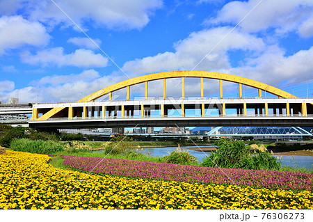 花 フラワー お花 76306273