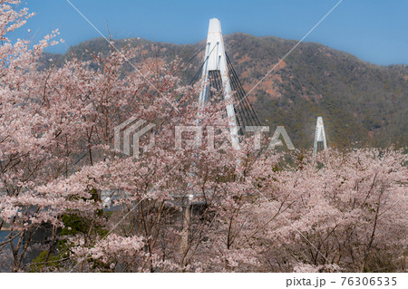 広島・山口県境にある弥栄ダムの桜風景の写真素材 [76306535] - PIXTA