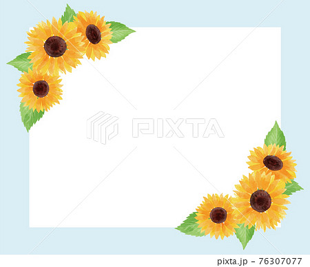 ひまわり ヒマワリ 向日葵 枠 フレーム 青 夏 花 イラスト 手描きのイラスト素材