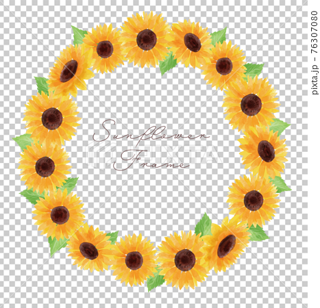 ひまわり ヒマワリ 向日葵 枠 フレーム 黄色 円形 夏 花 イラスト 手描きのイラスト素材