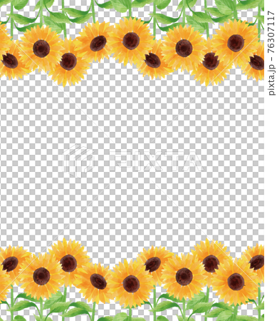 Sunflower sunflower sunflower frame frame top and bottom summer flower illustration hand-painted Sunflower sunflower sunflower frame frame top and bottom summer flower illustration hand-painted 76307117