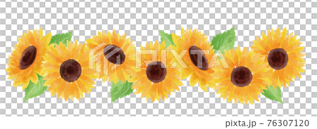 Sunflower sunflower sunflower frame frame summer flower illustration hand-painted Sunflower sunflower sunflower frame frame summer flower illustration hand-painted 76307120