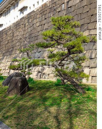 【大阪】大阪城の城壁 76307391