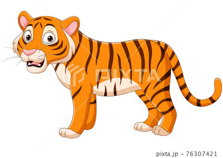 Cartoon tiger on white background 76307421