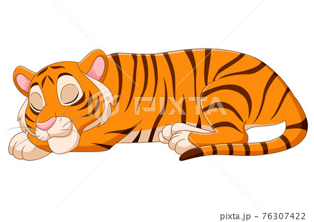Cartoon funny tiger sleeping on white background 76307422