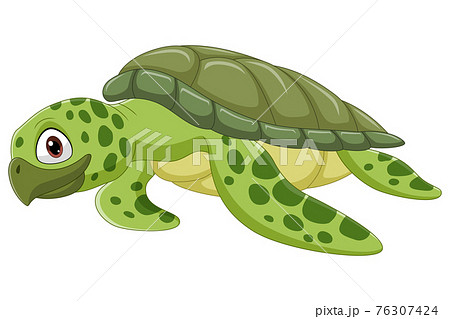 Cartoon sea turtle on white background 76307424