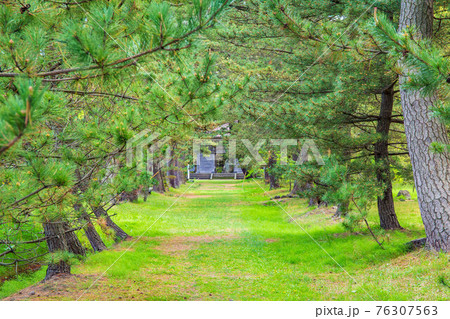 秋田にかほの春　新緑の蚶満寺　旧参道 76307563