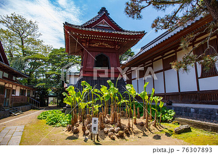 秋田にかほの春　新緑の蚶満寺　鐘付堂 76307893